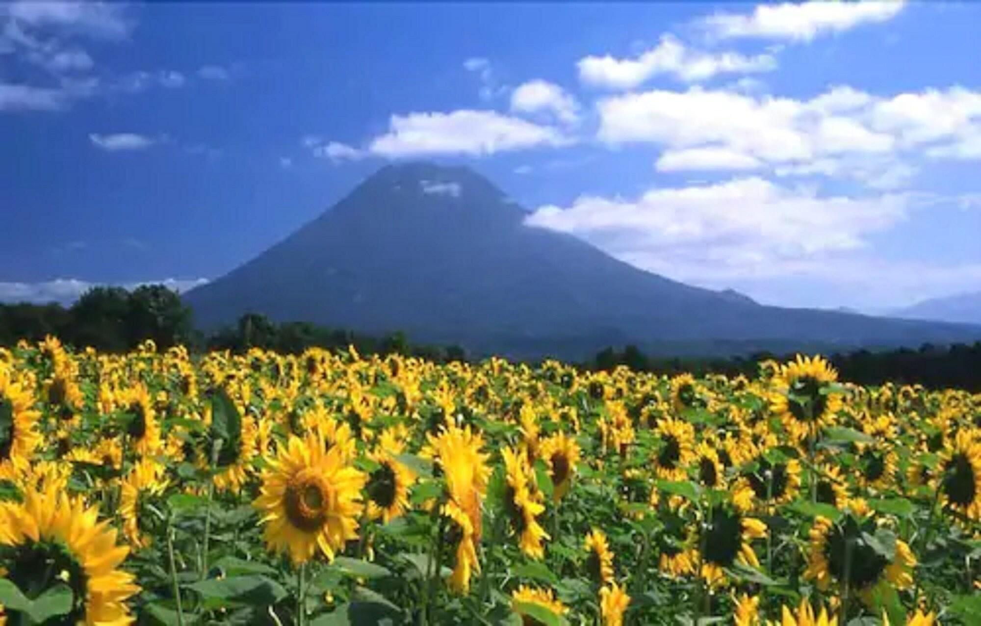 Niseko Prince Hotel Hirafutei Buitenkant foto